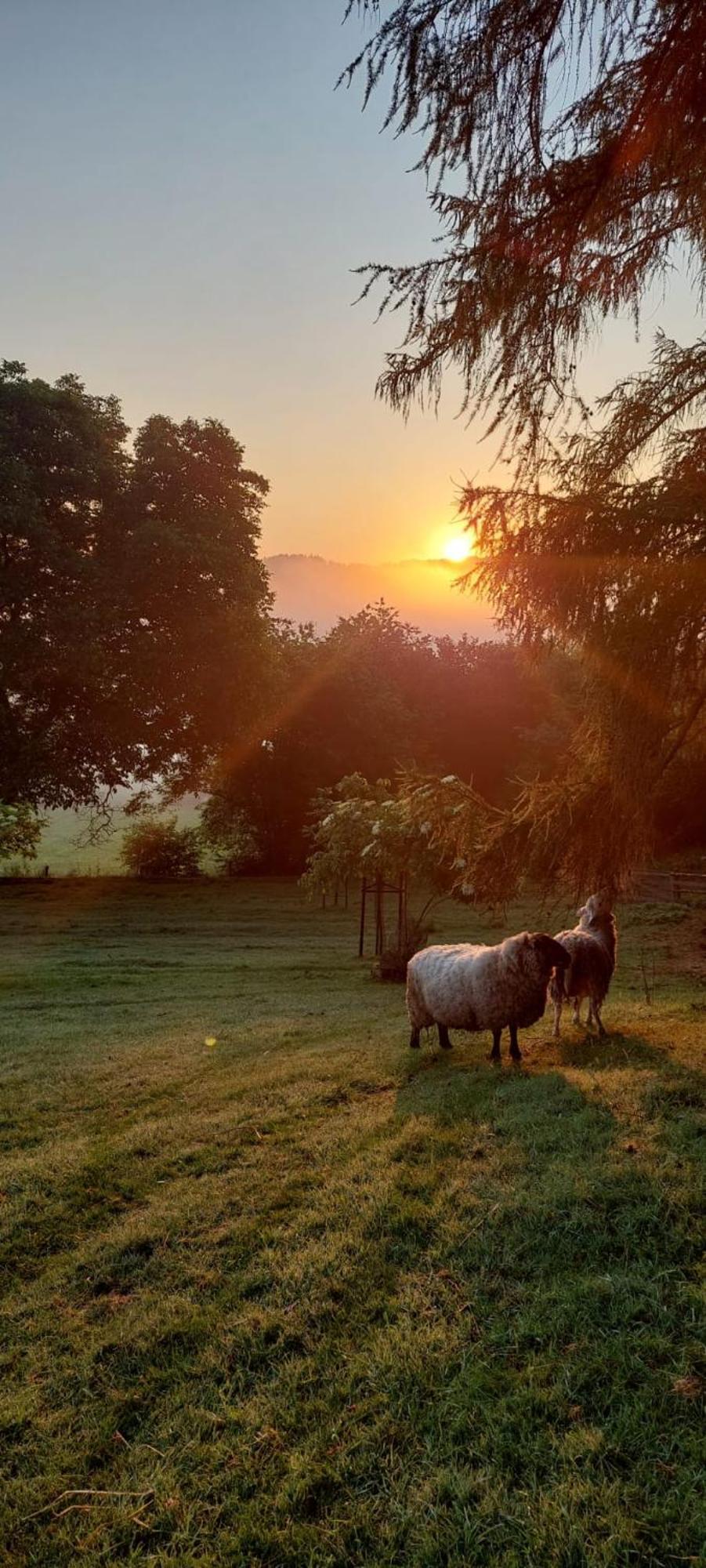 Chata Na Samote, Sumava Vrhavec Dış mekan fotoğraf