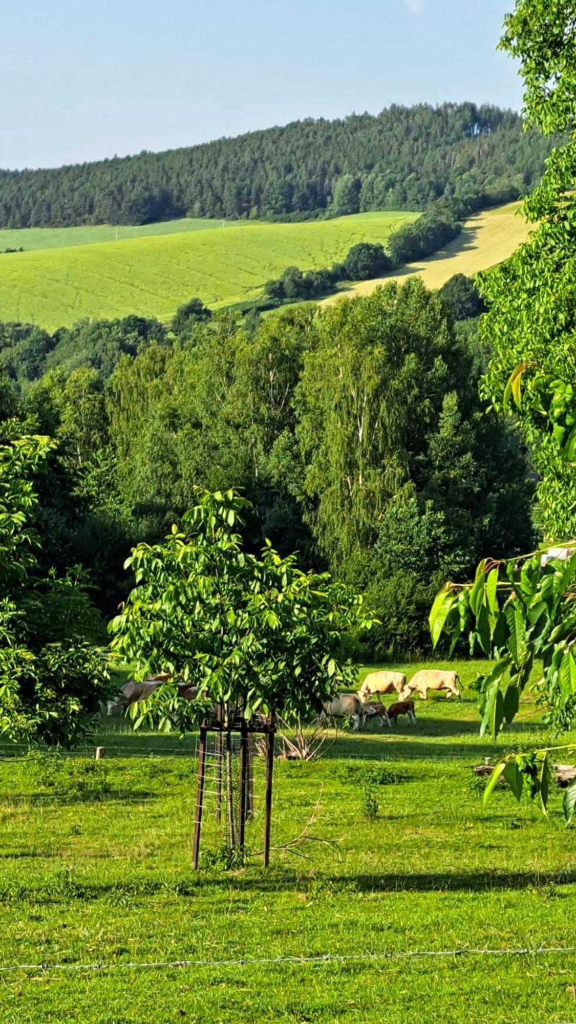 Chata Na Samote, Sumava Vrhavec Dış mekan fotoğraf