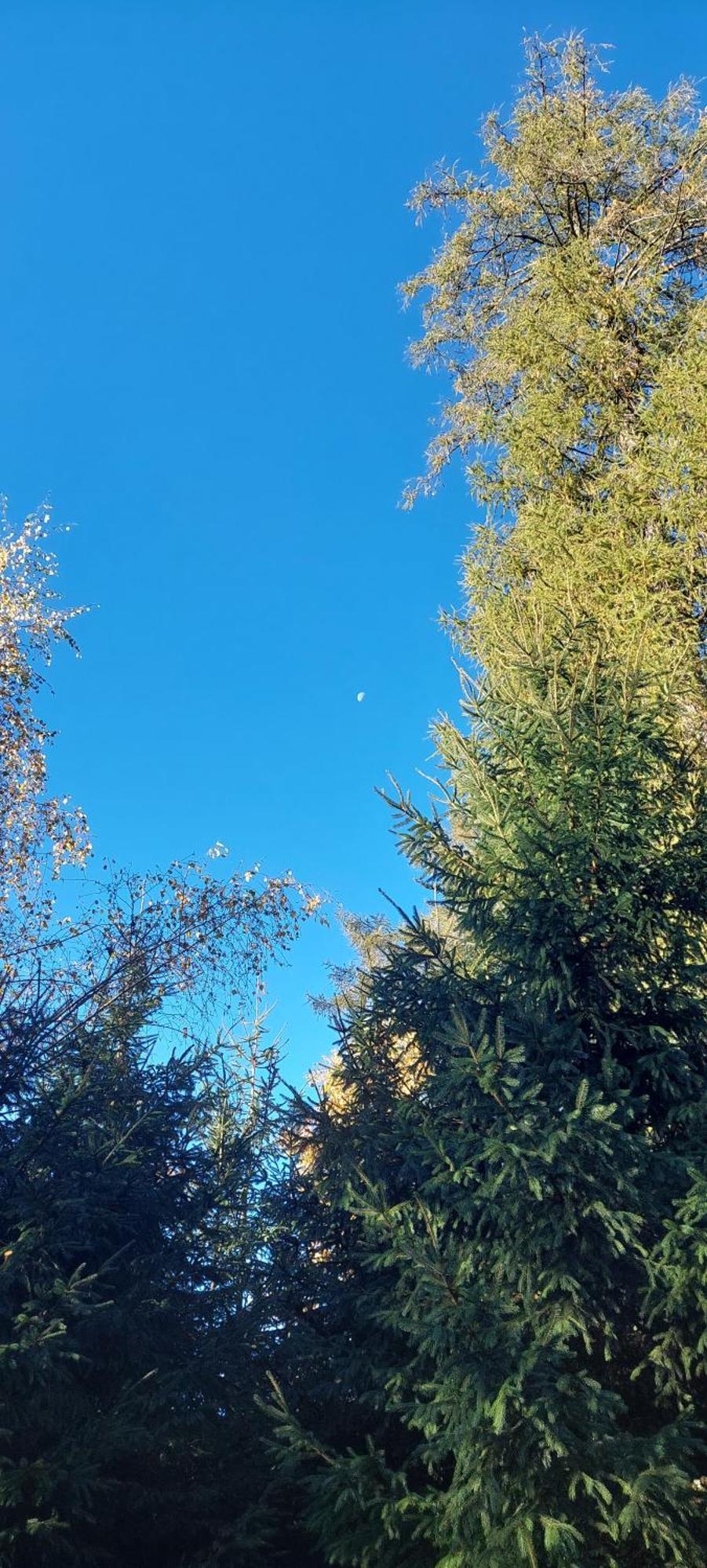 Chata Na Samote, Sumava Vrhavec Dış mekan fotoğraf