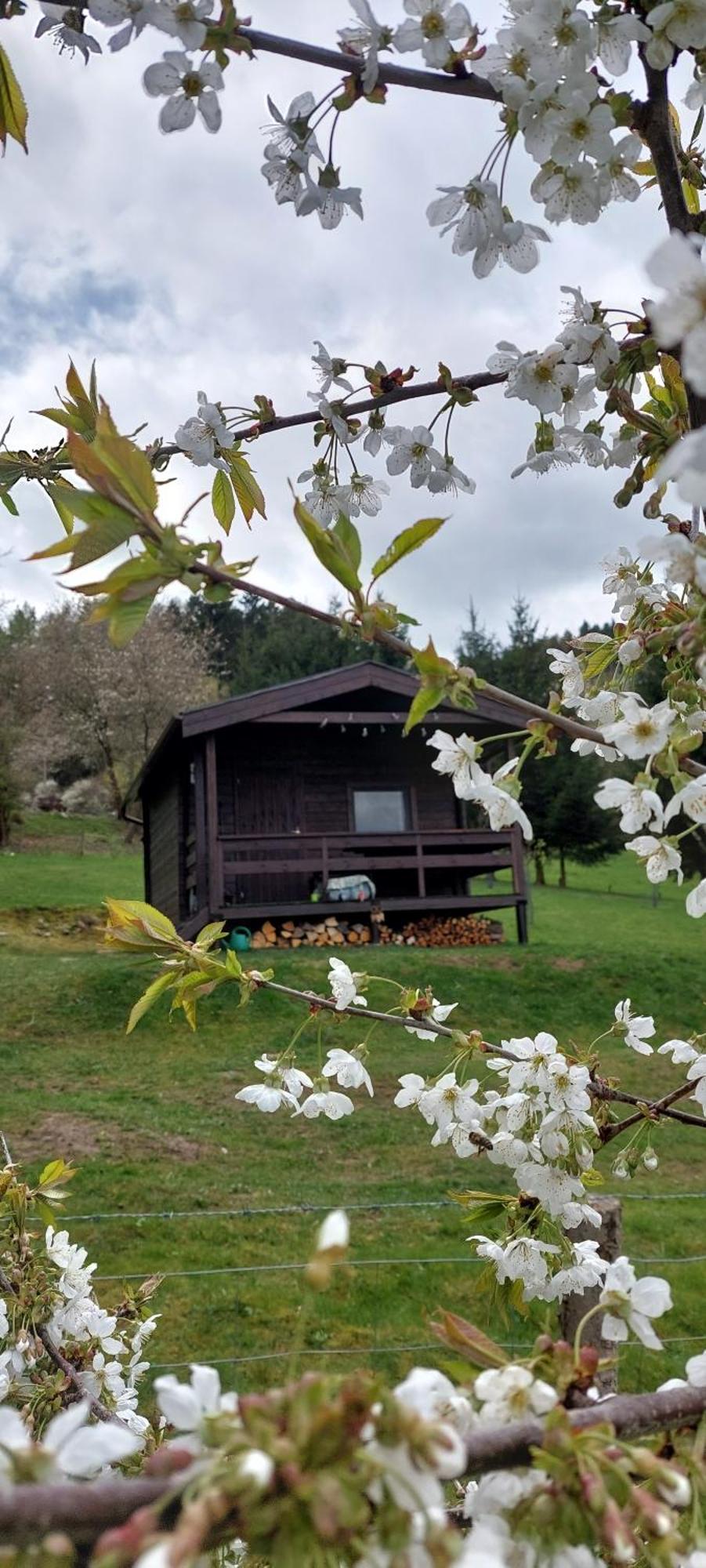 Chata Na Samote, Sumava Vrhavec Dış mekan fotoğraf