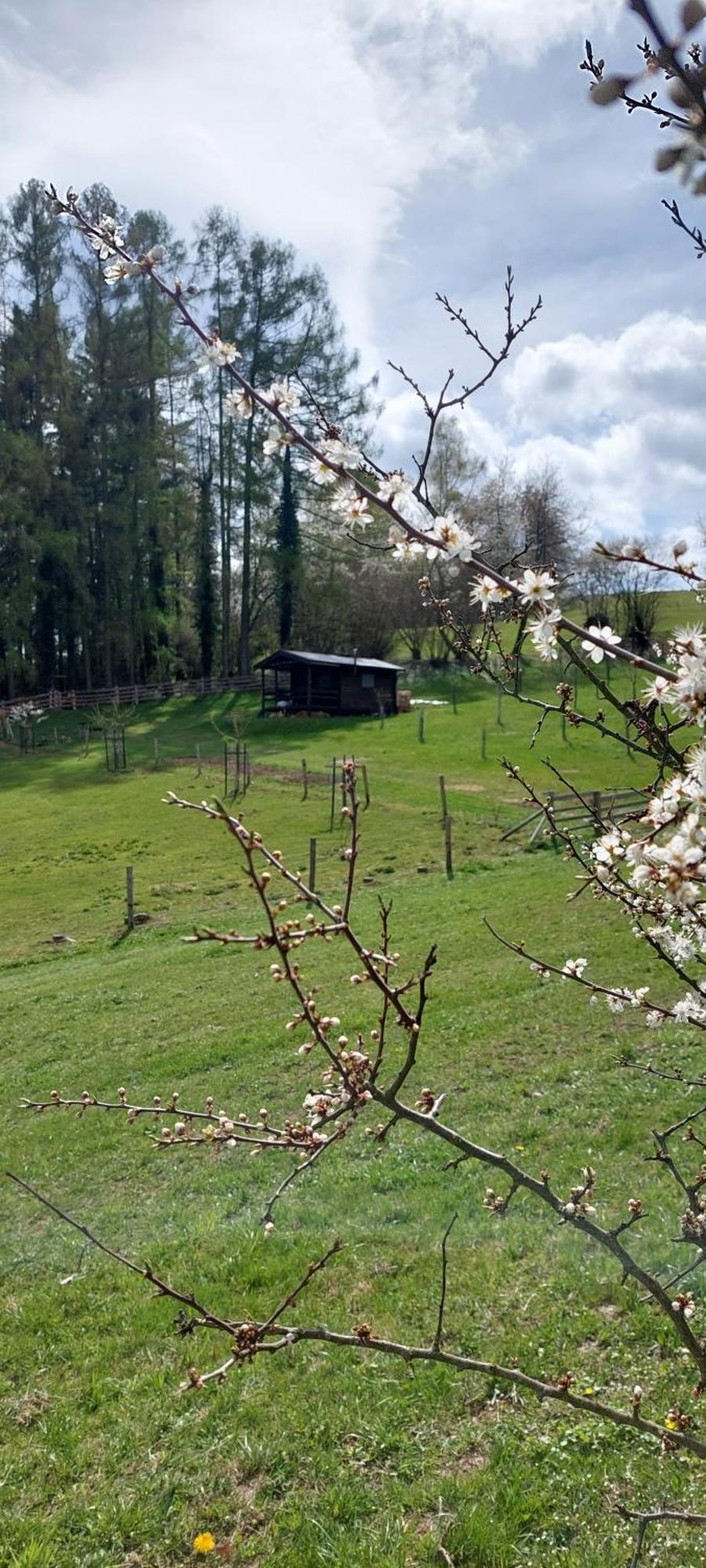 Chata Na Samote, Sumava Vrhavec Dış mekan fotoğraf
